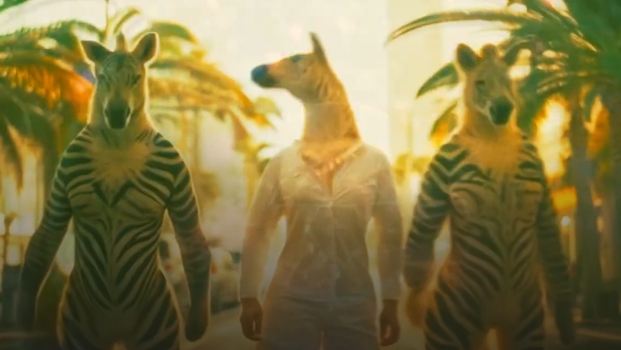 From Anarchy To Zebra - Shine Bright!